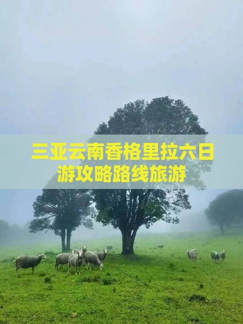 三亚去云南香格里拉六日游 三亚去云南香格里拉六日游