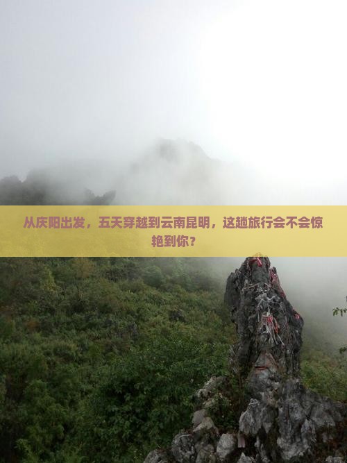 庆阳到云南昆明五日游