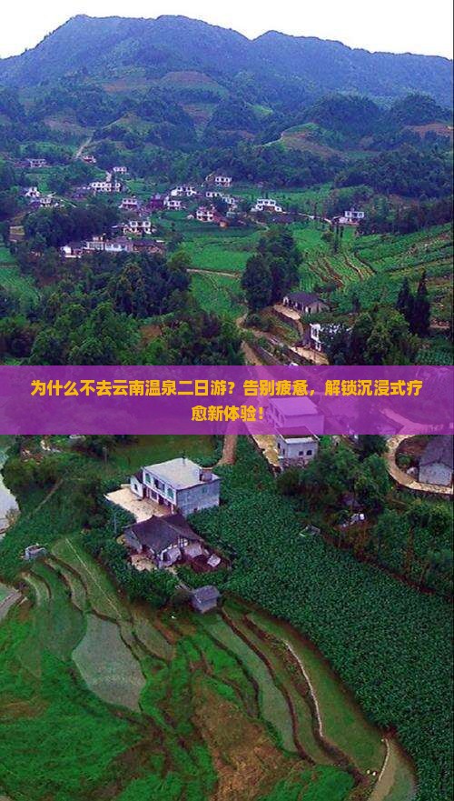 一月到云南温泉二日游