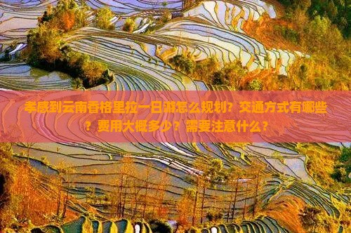 孝感到云南香格里拉一日