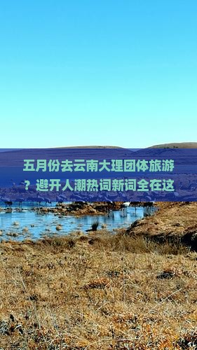 五月到云南大理团体旅游