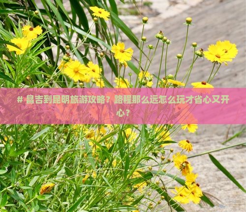 昌吉到云南昆明攻略