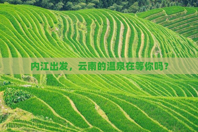 内江到云南温泉攻略