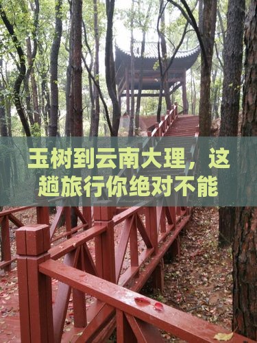 玉树去云南大理景点