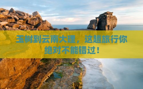 玉树去云南大理景点