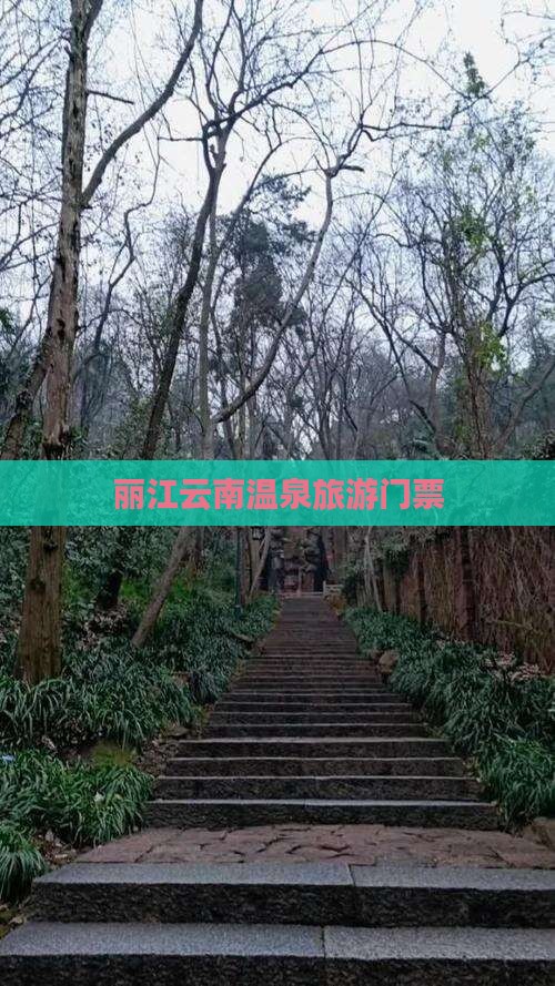 丽江去云南温泉门票
