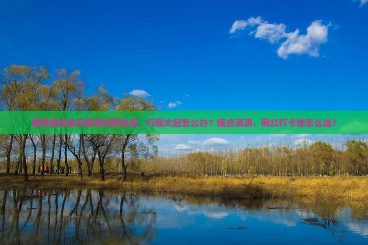 西双版纳去云南洱海四日游