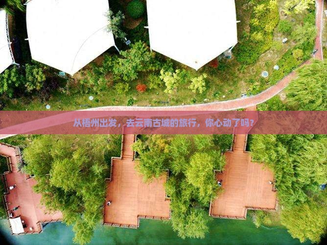 梧州到云南古城旅行社