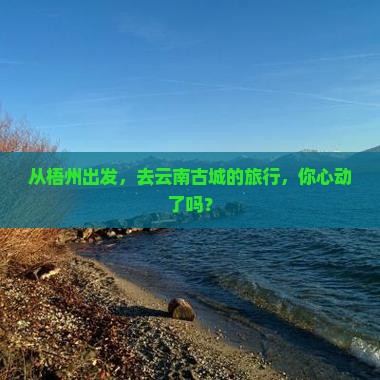 梧州到云南古城旅行社