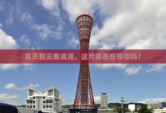 夏天到云南洱海景点