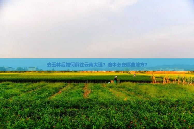 玉林去云南大理必去地