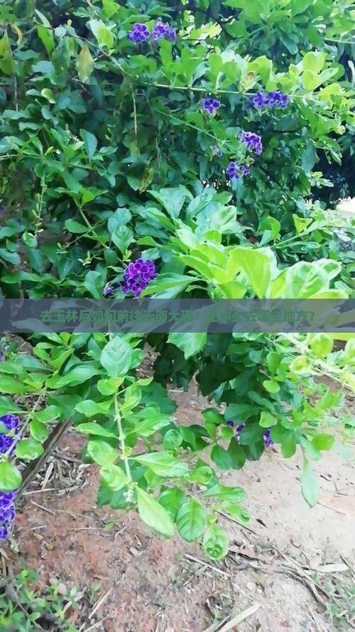 玉林去云南大理必去地