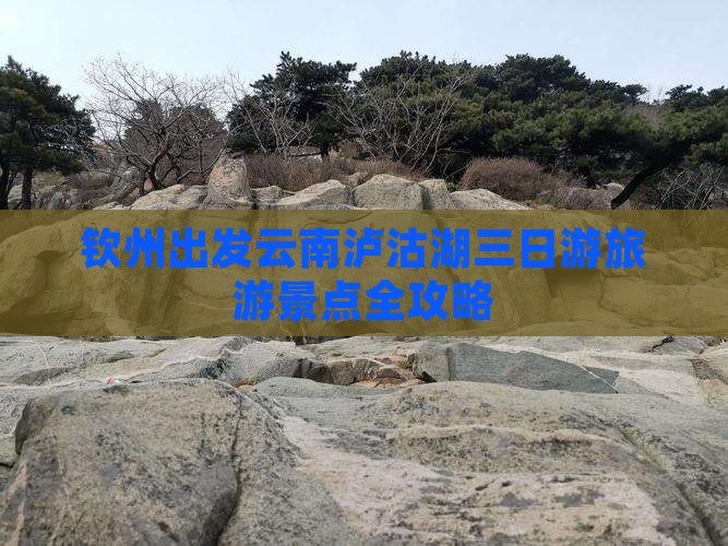 钦州去云南泸沽湖三日游