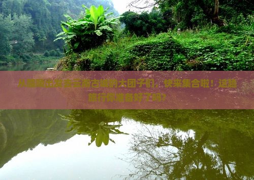 醴陵到云南古城大型旅游团