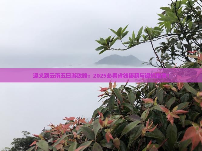 遵义到云南五日游