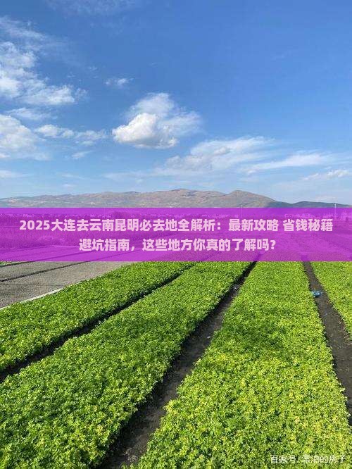 大连去云南昆明必去地