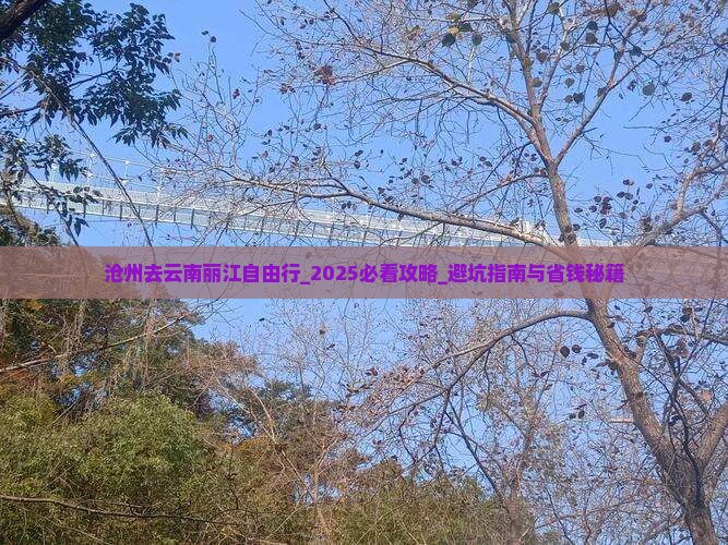 沧州去云南丽江自由行