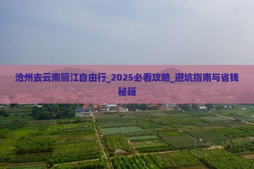 沧州去云南丽江自由行
