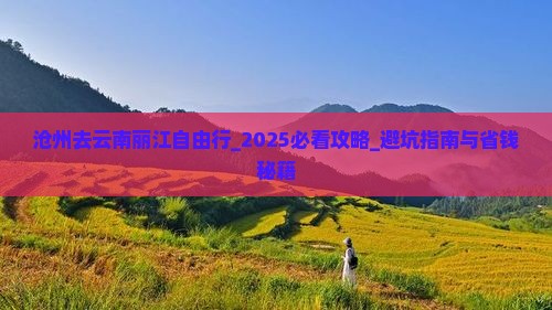 沧州去云南丽江自由行