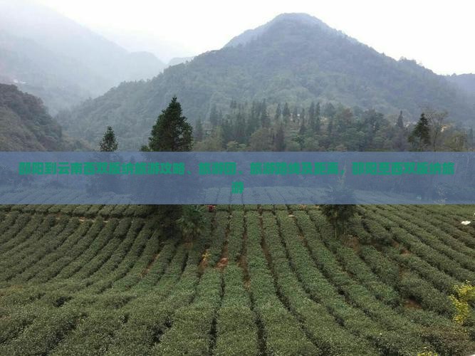 邵阳到云南西双版纳旅游