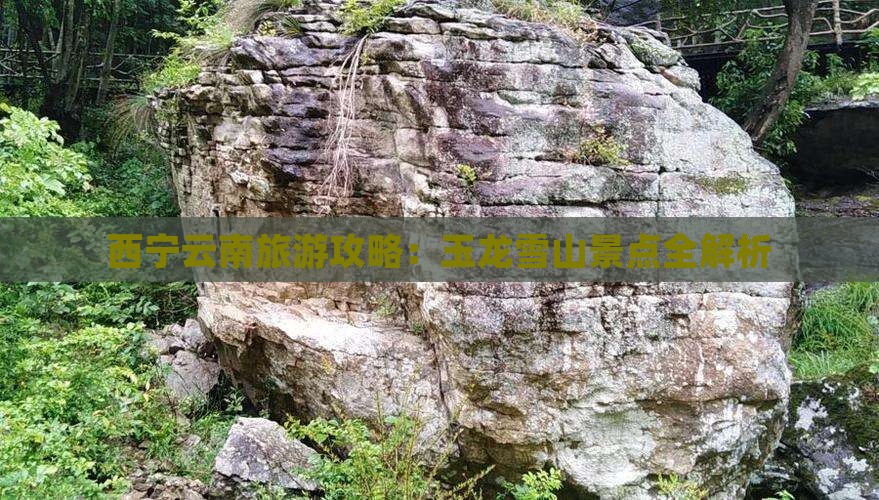 西宁去云南玉龙雪山团体旅游