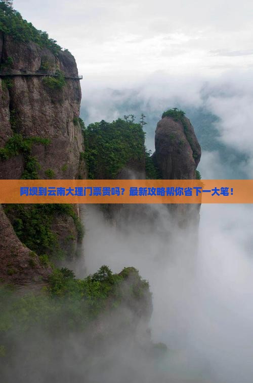 阿坝到云南大理门票