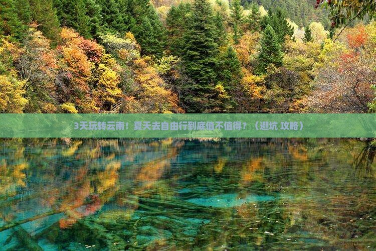夏天到云南自由行