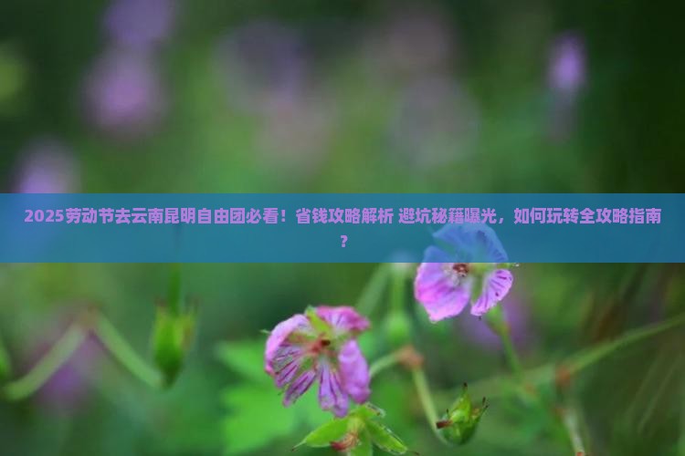 劳动节去云南昆明自由团