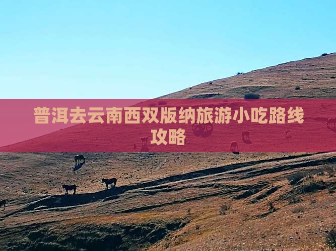 普洱去云南西双版纳旅游小吃
