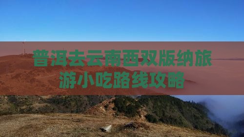 普洱去云南西双版纳旅游小吃