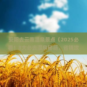安阳去云南温泉景点