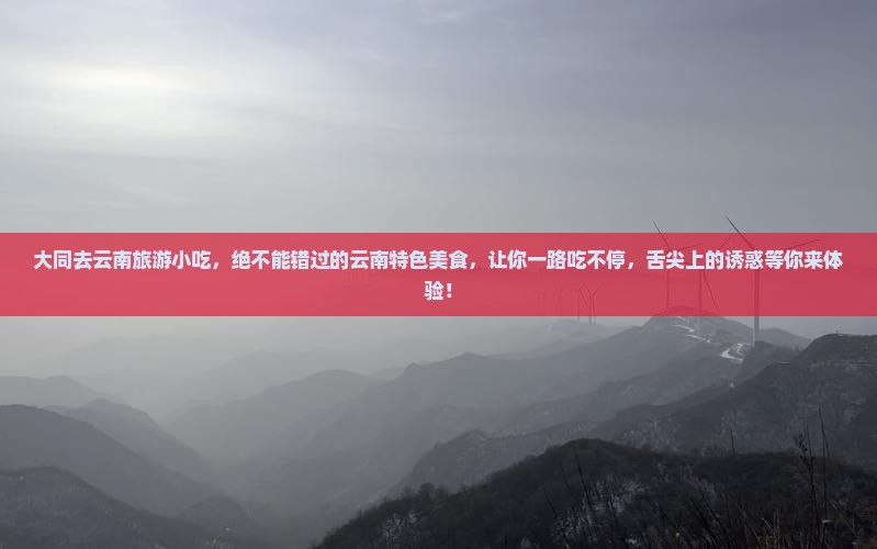 大同去云南旅游小吃