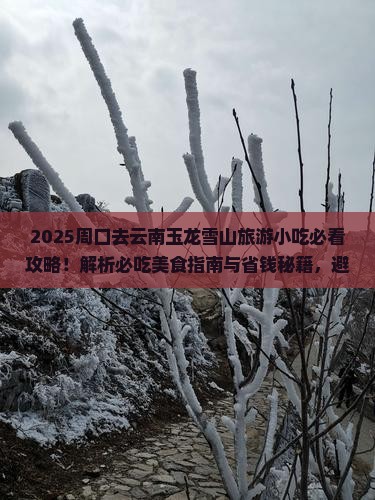 周口去云南玉龙雪山旅游小吃