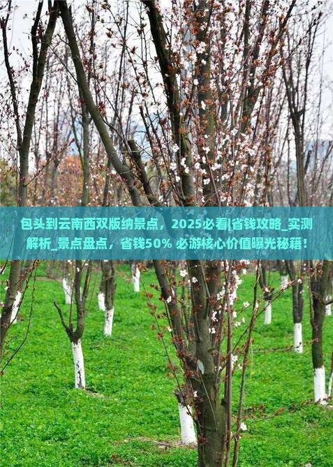 包头到云南西双版纳景点