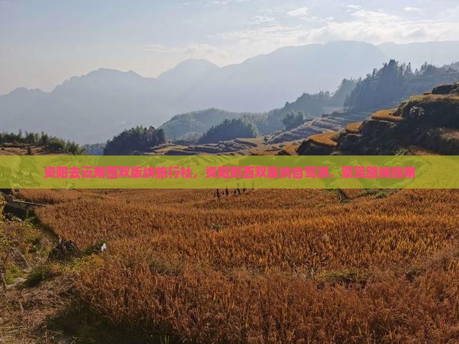 资阳去云南西双版纳旅行社