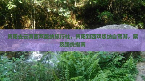 资阳去云南西双版纳旅行社