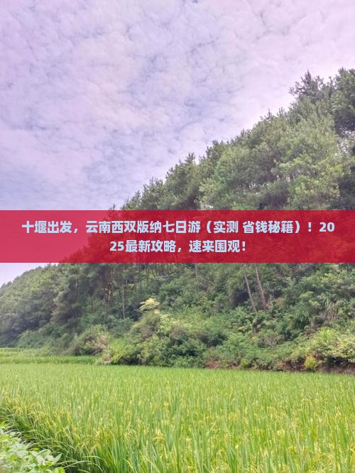 十堰到云南西双版纳七日游