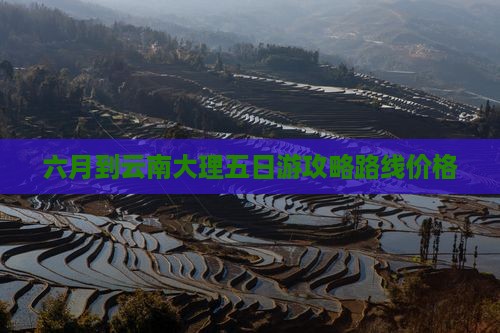 六月到云南大理五日游