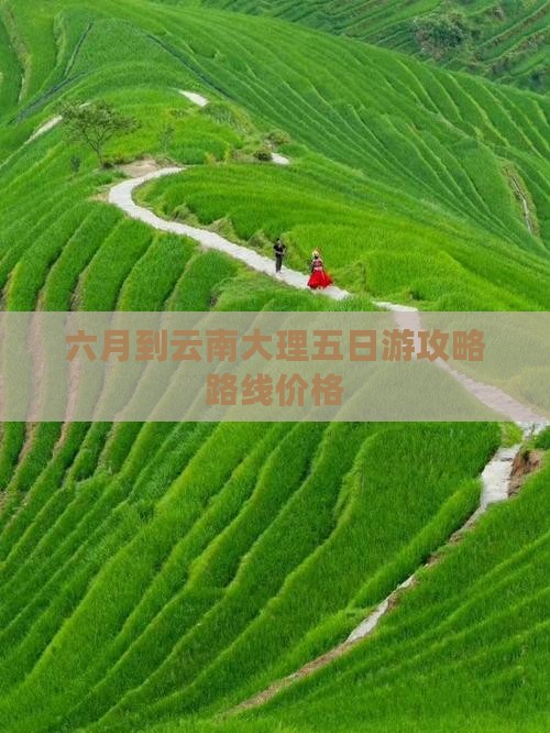六月到云南大理五日游