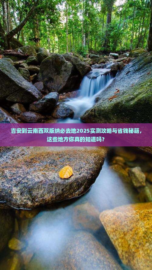 吉安到云南西双版纳必去地