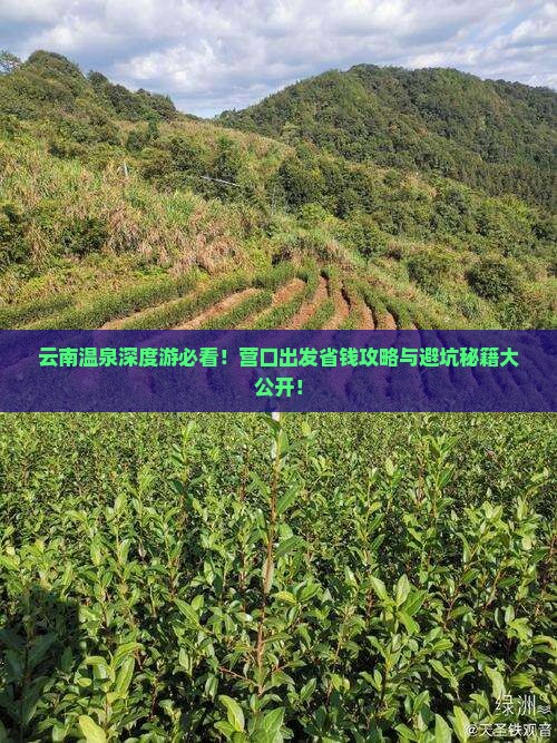 营口到云南温泉旅行社
