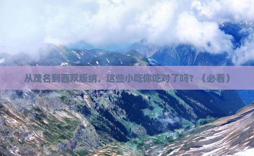 茂名去云南西双版纳旅游小吃