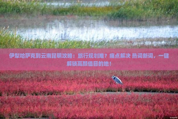 伊犁哈萨克到云南昆明攻略