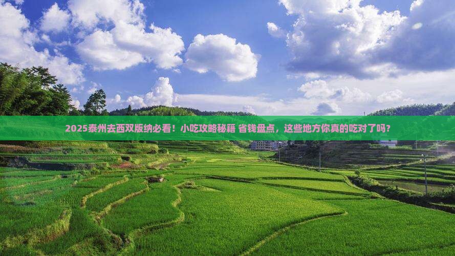 泰州去云南西双版纳旅游小吃