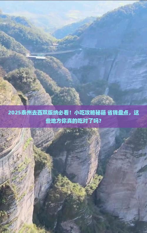 泰州去云南西双版纳旅游小吃