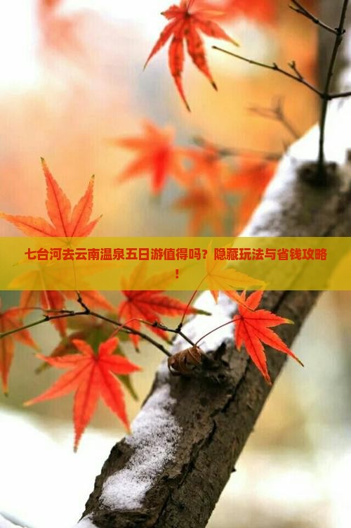 七台河去云南温泉五日游