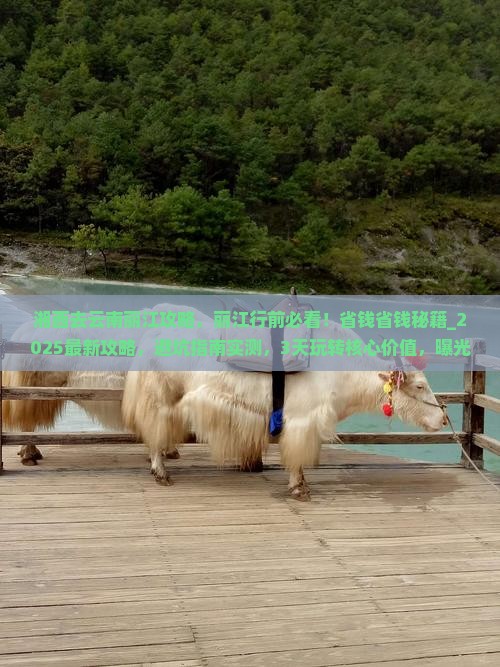 湘西去云南丽江攻略