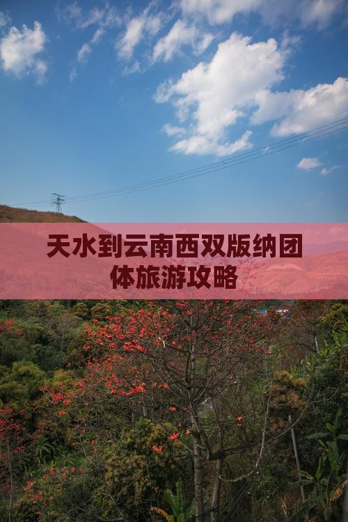 天水到云南西双版纳团体旅游攻略
