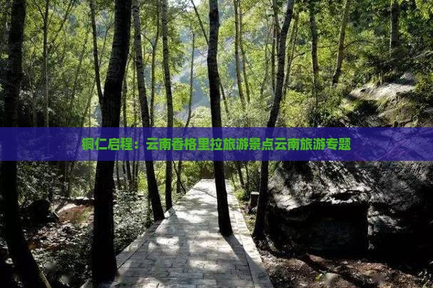 铜仁启程：云南香格里拉旅游景点云南旅游专题