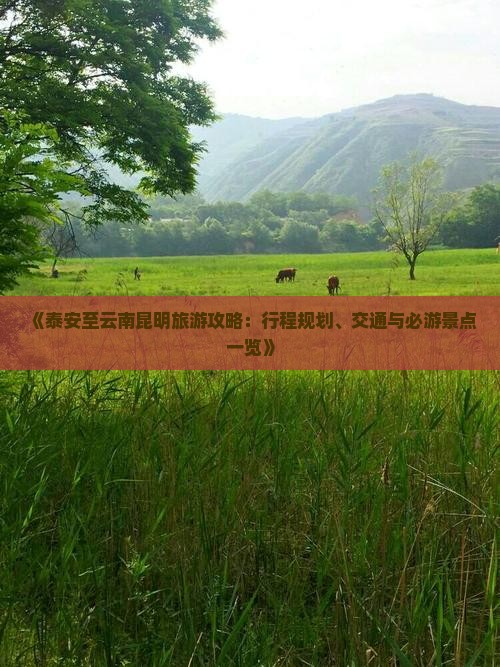 《泰安至云南昆明旅游攻略：行程规划、交通与必游景点一览》